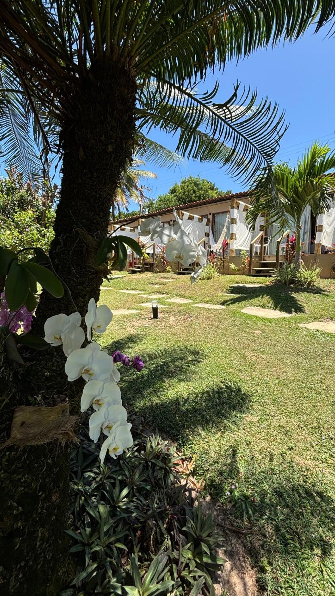 Hotel Da Pipa Praia de Pipa Luaran gambar