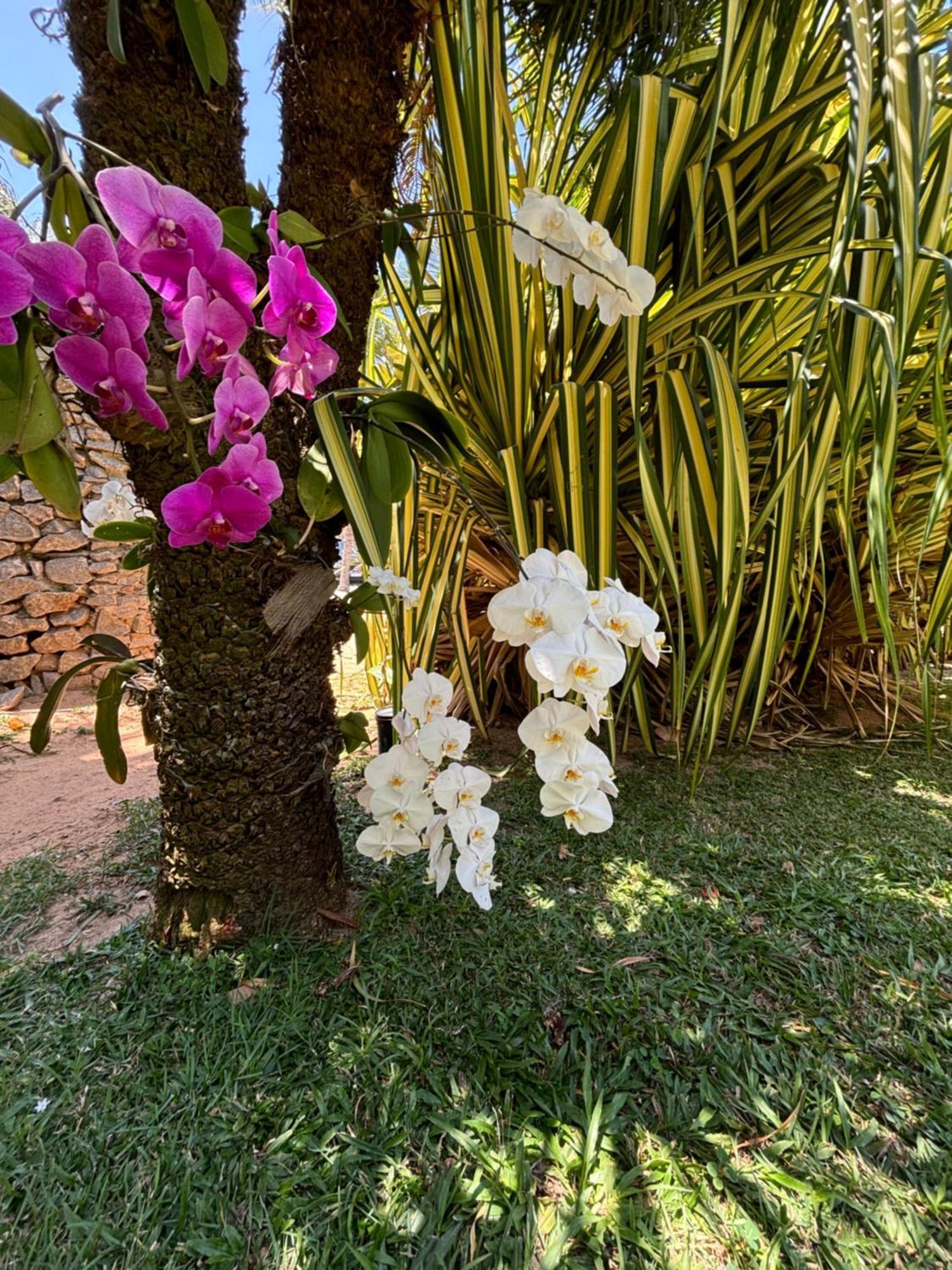 Hotel Da Pipa Praia de Pipa Luaran gambar