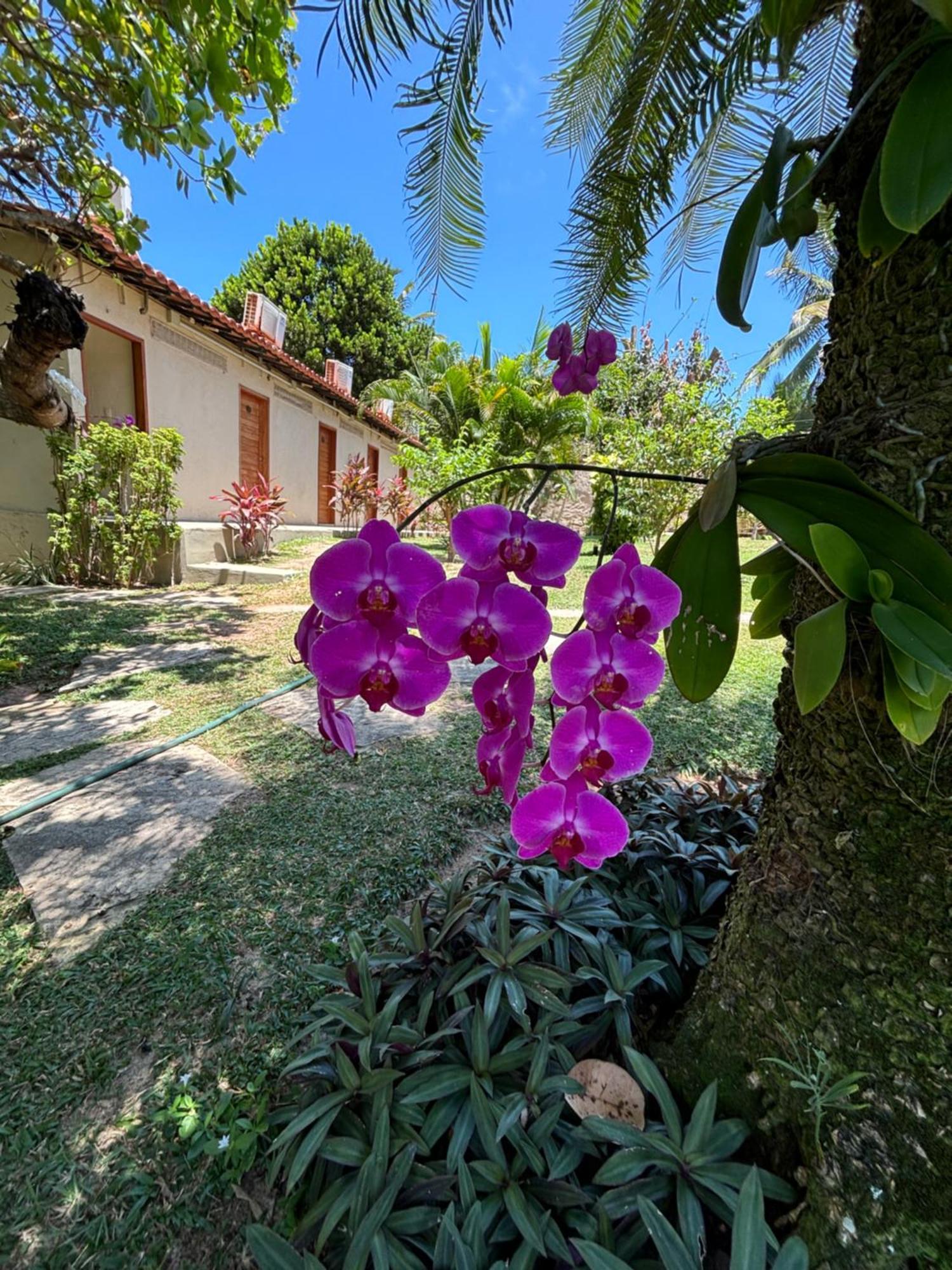 Hotel Da Pipa Praia de Pipa Luaran gambar